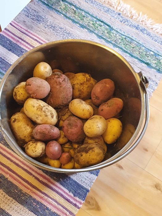 En rostfri hink fylld med nyskördade potatisar i olika storlekar och färger, placerad på ett randigt tyg.