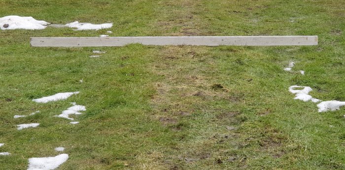 En upphöjd stig på gräsmattan orsakad av tjäleffekten, omgiven av smältande snörester.