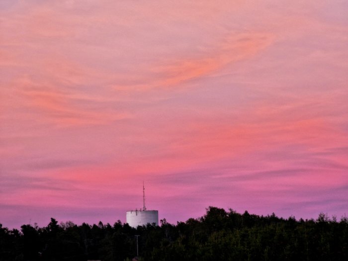 Kvällshimmel med nyanser av rosa och lila ovanför silhuetten av träd och en byggnad.