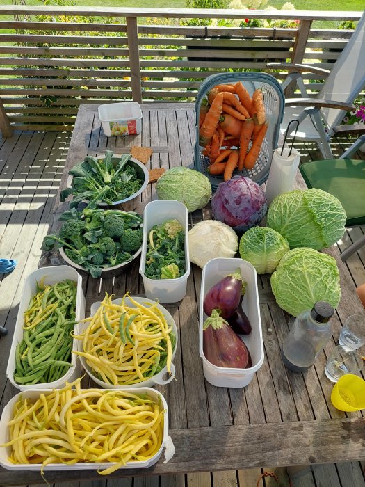 Skördade grönsaker på ett träbord, inklusive morötter, kål, broccoli och bönor.