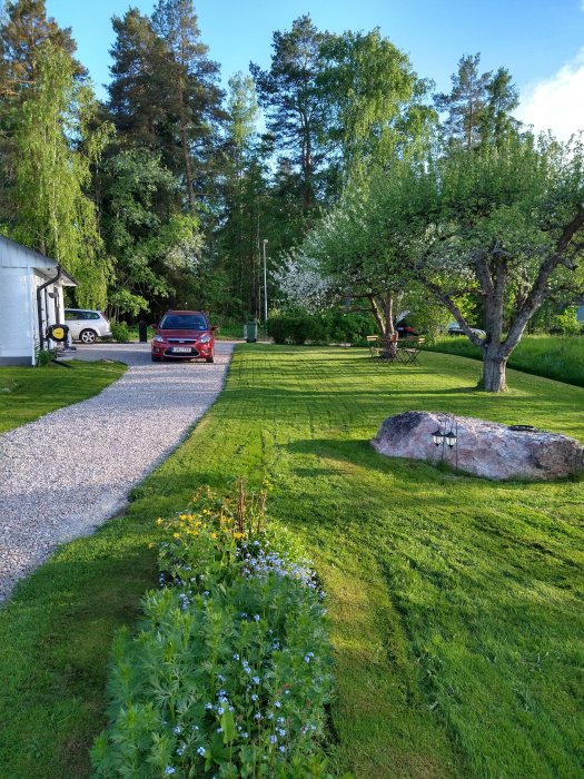 Trädgård med grusuppfart, gräsmatta, blomsterbädd och träd, soligt väder.