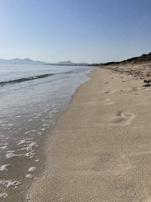 Morgonvy av en lugn strand med fotspår i sanden, vågor som möter strandkanten och berg i bakgrunden.