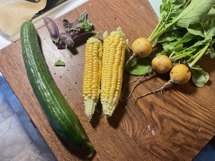 Nyss skördade grönsaker på ett träbord: zucchini, två majskolvar, purpur bönor och gulbeta med blad.