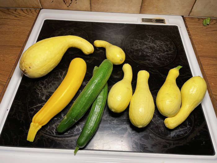 Olika sorter av skördade squash och gurkor på ett köksbord.