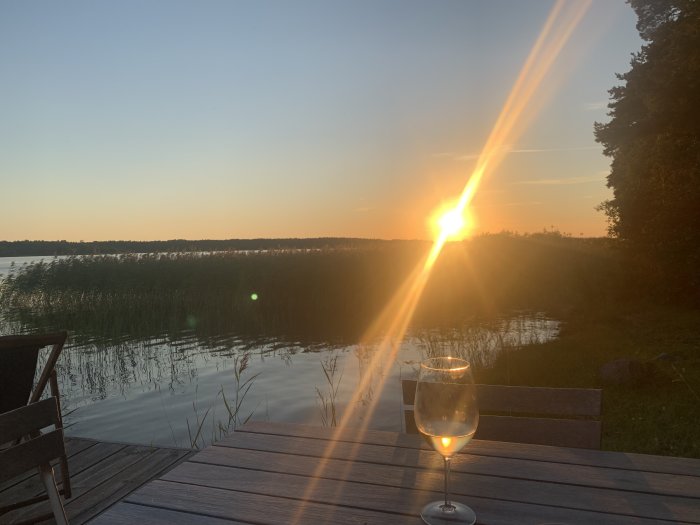 Solnedgång vid sjö med ett glas på ett träbord och vass i förgrunden.