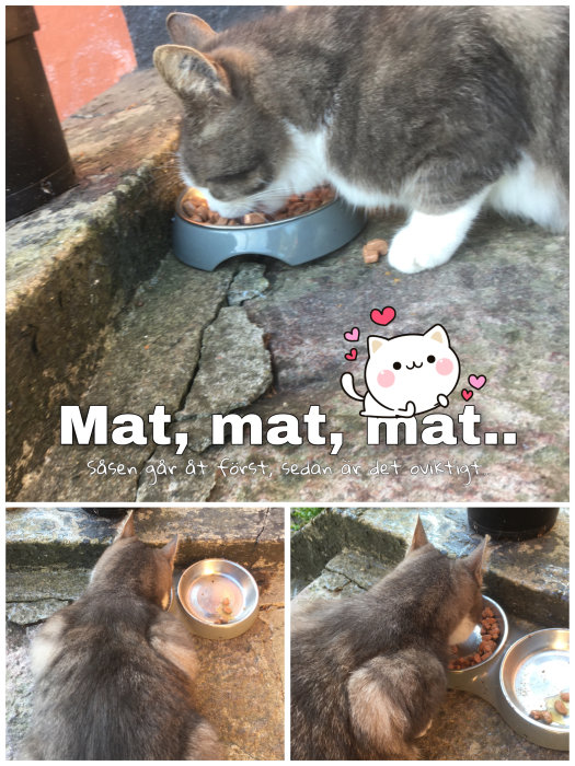 Kollage av en katt som äter ur en matskål och texten "Mat, mat, mat..." med hjärtan.