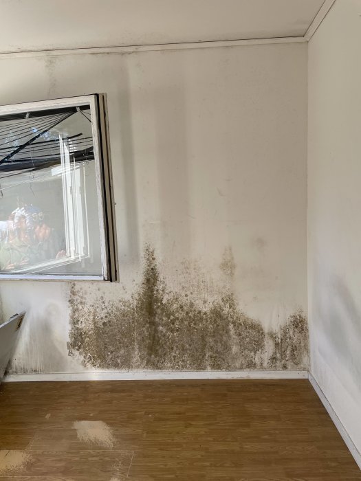 Vägg med mögel och fuktfläckar under ett fönster i ett rum med laminatgolv.
