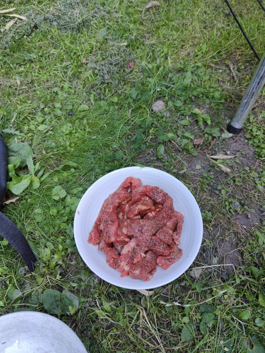 En tallrik med kryddat kött på gräsmattan redo för grillning.