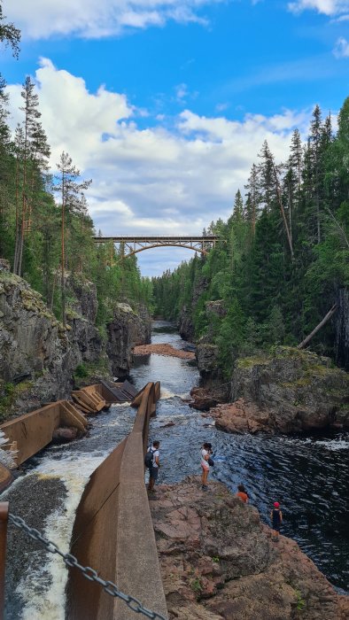 Bäcken omgiven av skog med människor nära vattnet och en bro i bakgrunden.