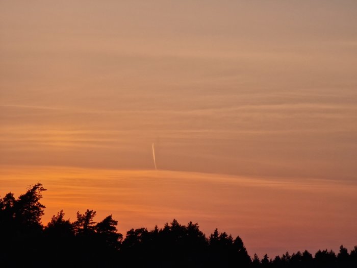 Solnedgång i pastellfärger med trädtoppar i silhuett och ett flygplan långt borta på himlen.