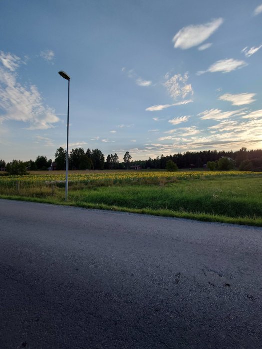 Kvällsvy med gatlykta, vägkant, fält och skog under delvis molnig himmel.