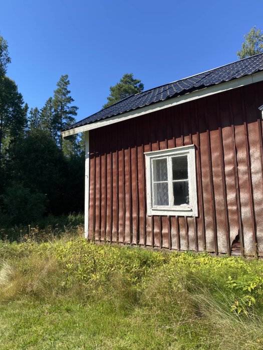 Rödfärgad stuga med vitkantat fönster och svart tak under en klarblå himmel omgiven av grönska.