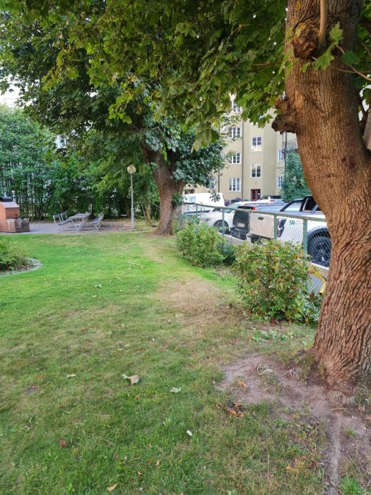 Grönområde med träd, gräsmatta och bänkar nära en parkeringsplats och bostadshus.