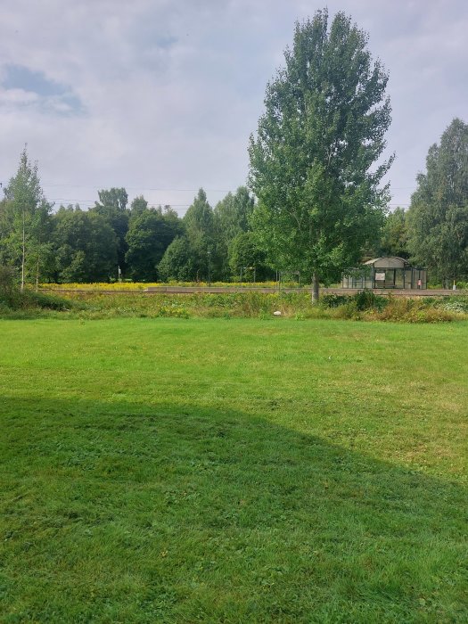 Grön äng med träd och en busshållsplats i bakgrunden under en molnig himmel.