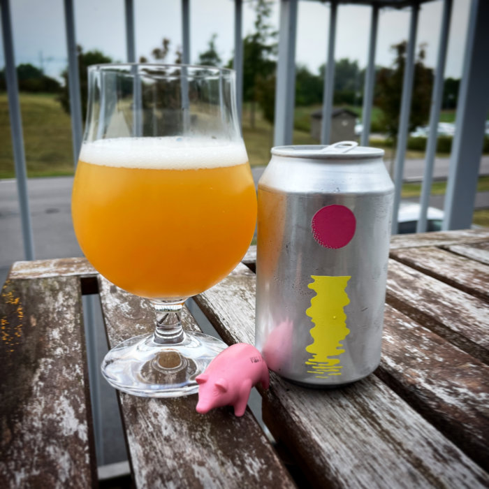 Ölglas fyllt med grumlig öl vid sidan av en burk på ett träbord utomhus med en liten rosa plastgris.