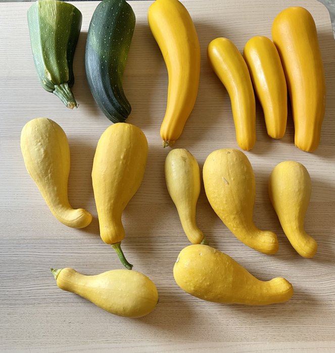 Gröna och gula zucchini ligger på ett ljust träbord, hälften av hushållets zucchinibestånd.