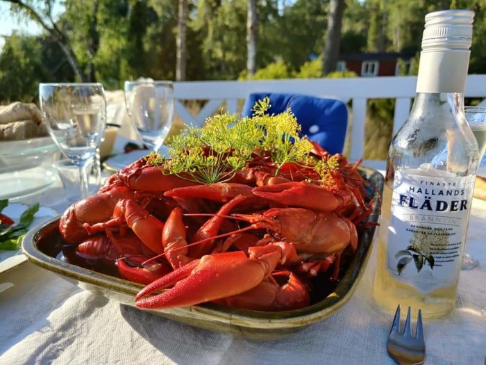 Ett fat med röda kräftor dekorerade med dill, ett tomt snapsglas och en flaska brännvin på ett somrigt utomhusbord.