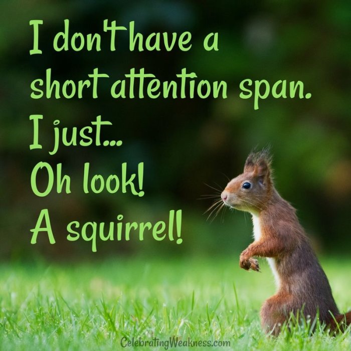 Ekorre i gräs med texten "I don't have a short attention span. I just... Oh look! A squirrel!" humoristiskt om distraktion.