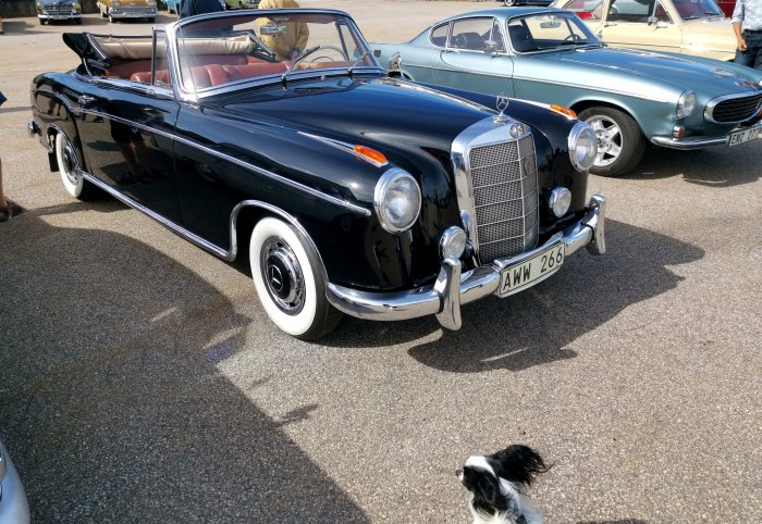 Svart klassisk Mercedes cabriolet på en bilträff med andra veteranbilar i bakgrunden.