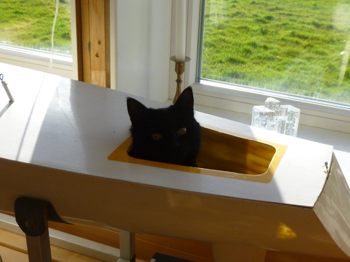 Svart katt kikar fram genom en gul rektangulär öppning i en vit bänk, i ett rum med utsikt över ett grönt landskap.