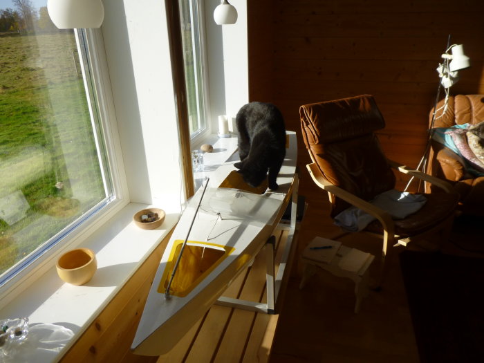 Svart katt undersöker ett bord i ett soligt rum med träväggar och skinnfåtölj.