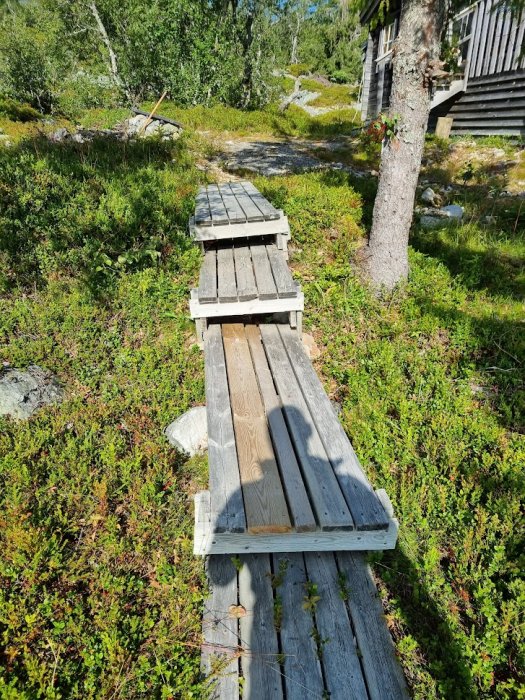 En improviserad träbro över ojämnheter i marken, med en stuga och skog i bakgrunden.