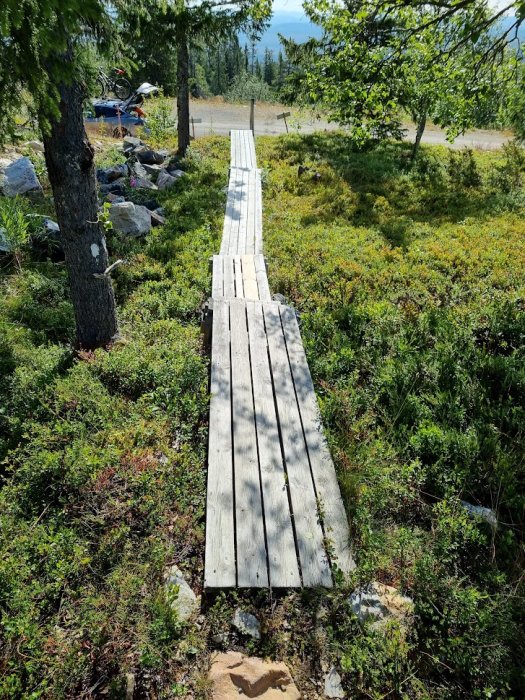 En träspång genom naturlig terräng av gräs och ljung med träd och klippor i förgrunden.