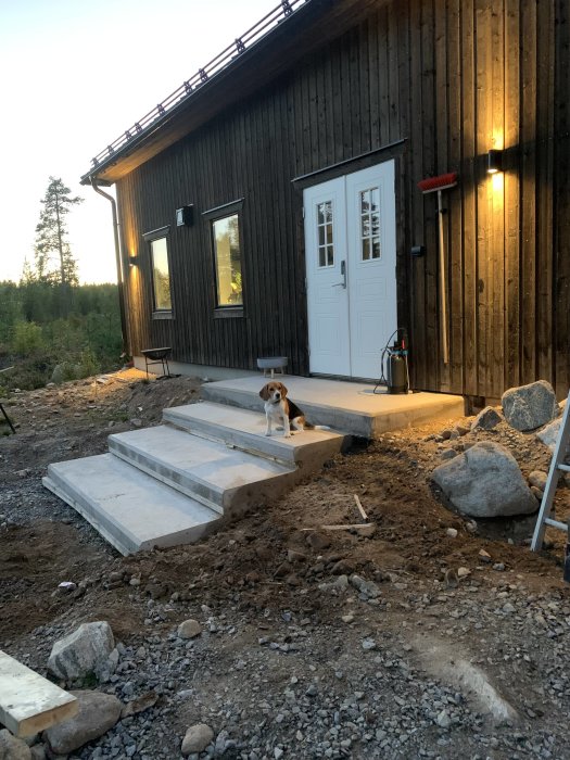 Nybyggda betongtrappor utanför en mörkfärgad träfasad med en beaglehund sittande på den nedersta trappan.