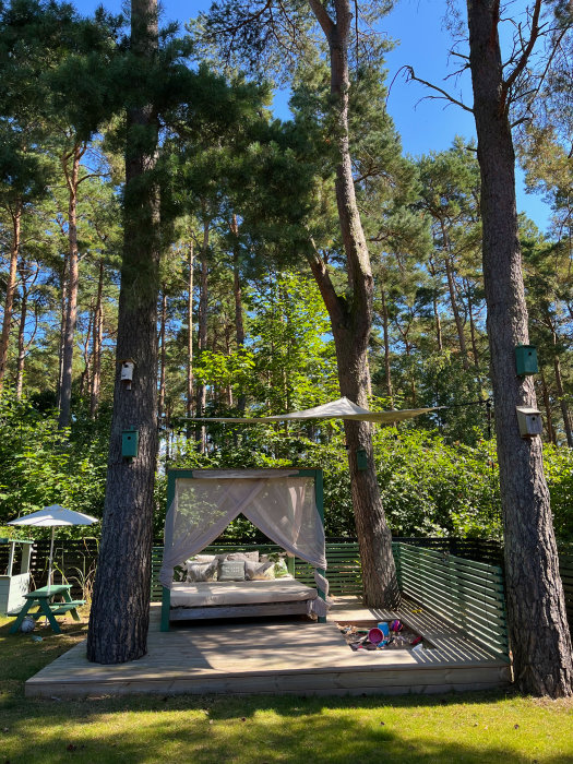 Hemmasnickrad cabana med myggnät på trädäck i trädgård, barnleksaker framför, omgivet av tallar.