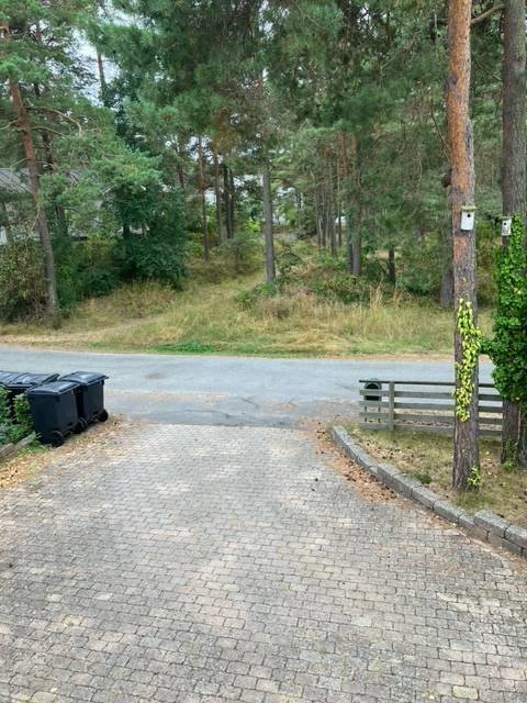 Uppfart med gatsten som leder till en väg med skog runtomkring och en soptunna till vänster.