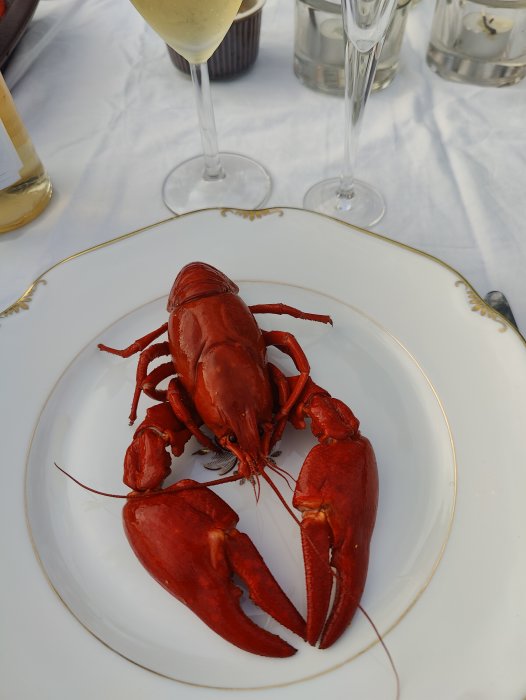 En röd kokt kräfta på en vit tallrik med champagneflöjter i bakgrunden.