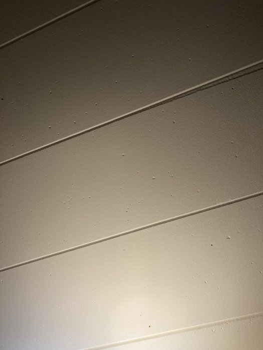 Närbild på en vitmålad vägg med spår av fukt eller mögel.