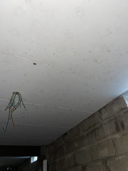 Fuktfläckar på vit gipstak i källare med synliga ledningar och oputsad betongvägg.