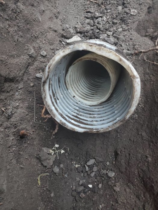 En korroderad och smutsig vit korrugead dräneringsrör i marken omgiven av jord och småstenar.