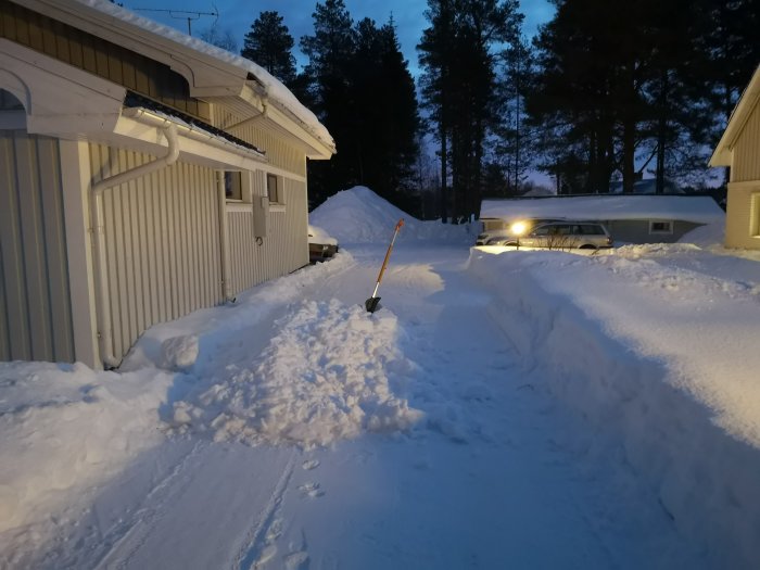 Nyss uppskottad gångväg mellan snötäckta hus i skymningen med skottkärra och bil.