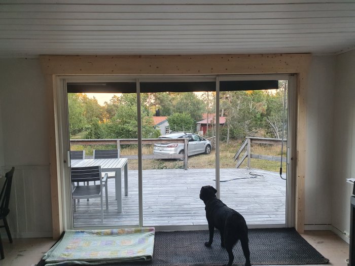 Renoverat rum med stora fönsterdörrar och synlig limträbalk, hund framför utsikt över trädäck och natur.