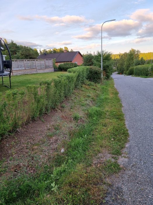 Vy längs en gata med en överväxt gräskant och ett rött hus i bakgrunden mot en blå himmel med moln.