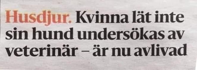 Tidningsrubrik om kvinna som inte lät sin hund undersökas av veterinär vilket ledde till avlivning.