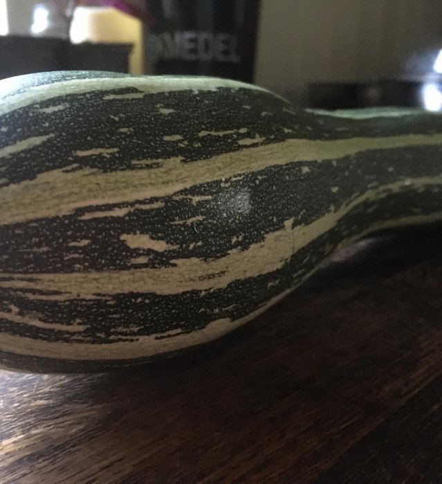 Närbild av en mogen squash med gröna och krämfärgade ränder på ett mörkt bord.