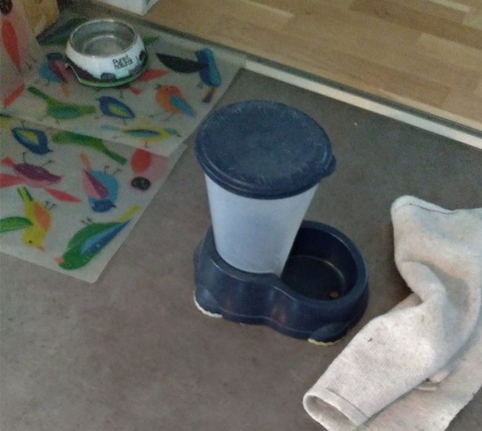 En tom kattmatsautomat som dragits fram en meter med enstaka torrfoderbitar kvar och en omkullvält vattenkopp.