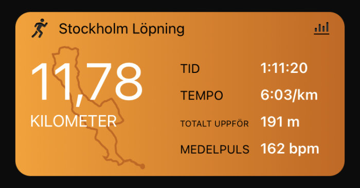 Digital löpaktivitetsöversikt med distans, tid, tempo, höjdmeter och puls.