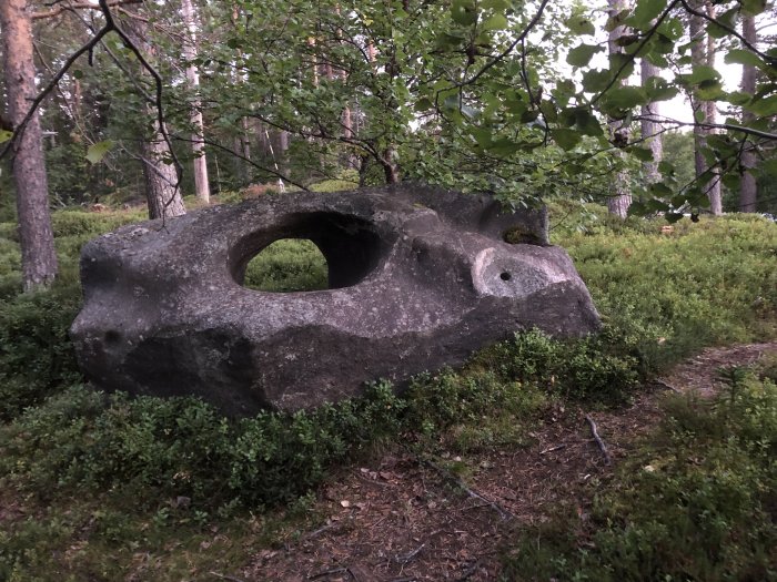 Stor sten med ovanligt hål i en skogsmiljö vid skymning.