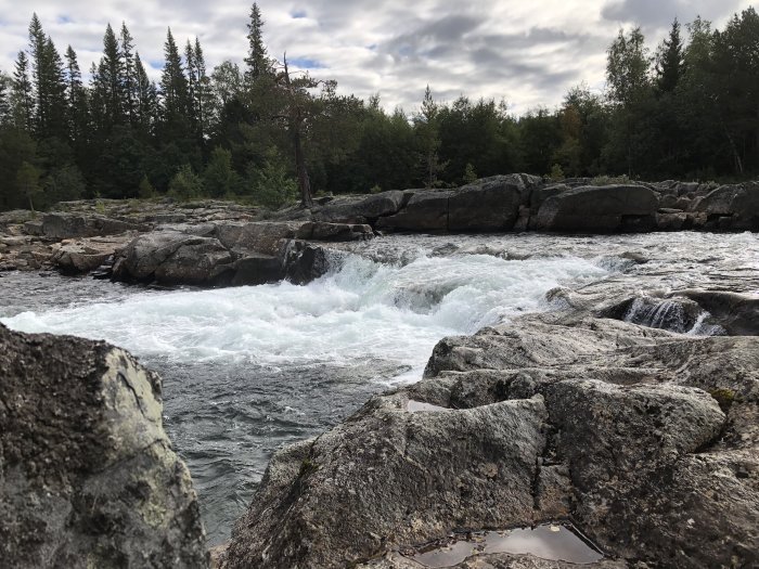 Vild bäck med skummande vatten omgiven av skog och klippor.