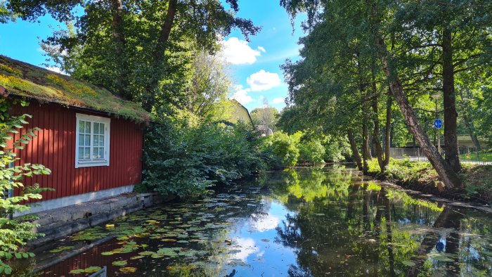 Röd stuga med grönt tak vid en stilla vattenspegel omgiven av grönska och näckrosblad.