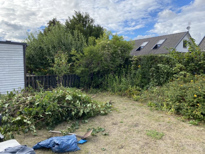 Trädgård med nyligen röjt grönområde och borttagna växter framför ett hus med takfönster.