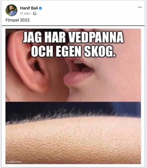 Meme med texten "Jag har vedpanna och egen skog" över en bild av ett öra och en närbild på armhår.