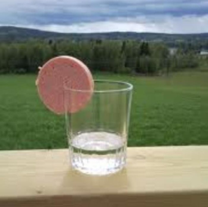 Glas med klar vätska ute på en träbänk med en skiva falukorv kantställd på toppen, med grönt fält och träd i bakgrunden.