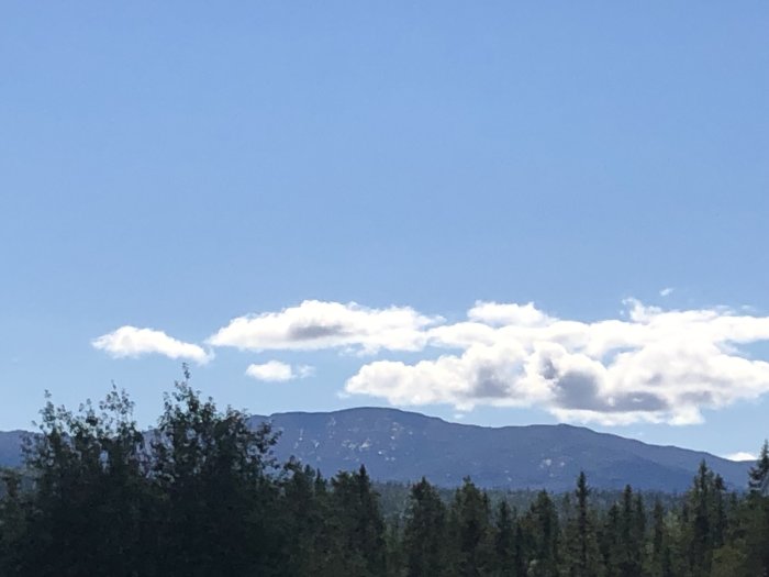 Vy över bergslandskap med fluffiga moln på en klarblå himmel och tät skog i förgrunden.