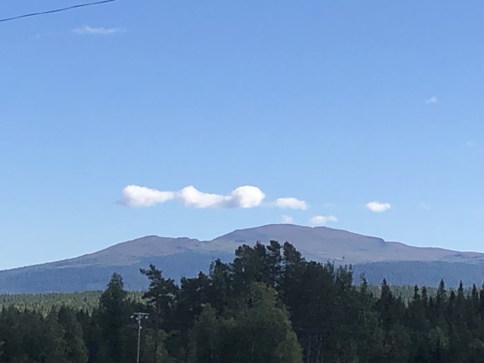 Vy över ett bergslandskap med skog i förgrunden under en klarblå himmel.