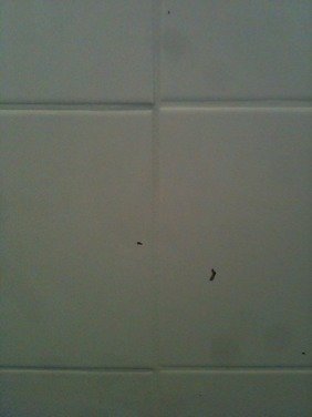 ImageUploadedByByggahus.se1352445223.402747.jpg